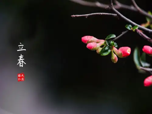 三年级下册语文《绝句》ppt课件