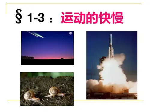 人教版物理八年级上册运动的快慢 课件(32页PPT)_2