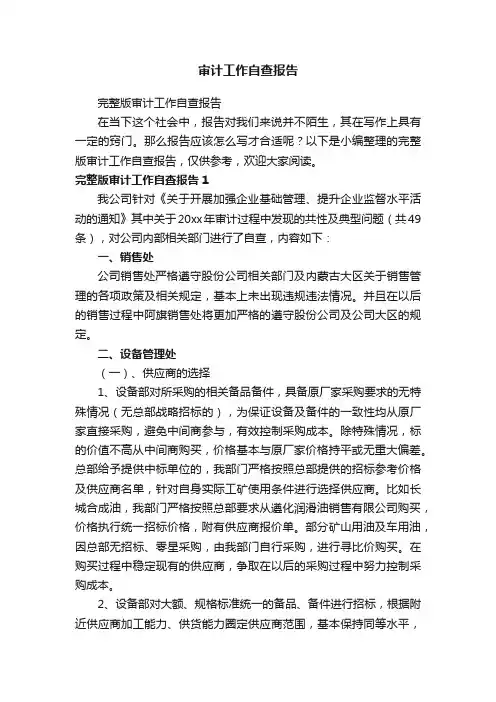 完整版审计工作自查报告