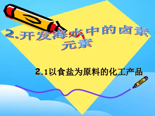 沪科版化学高一上册-2.1  以食盐为原料的化工产品 课件  _3ppt