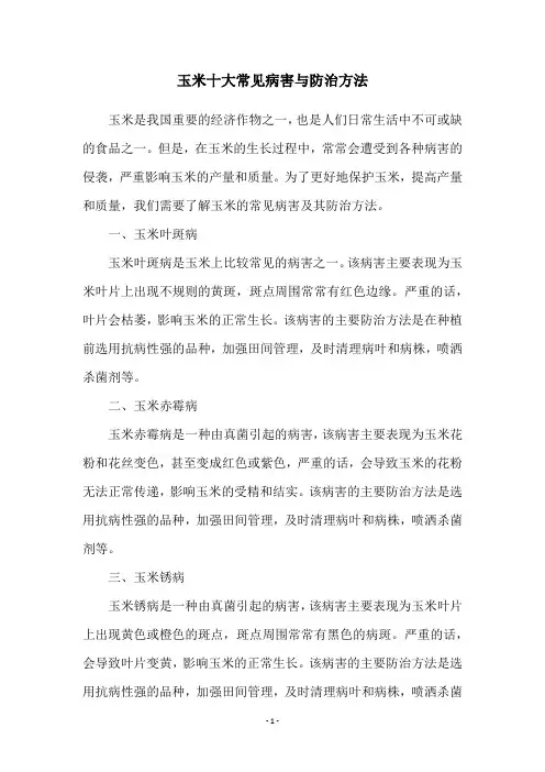 玉米十大常见病害与防治方法