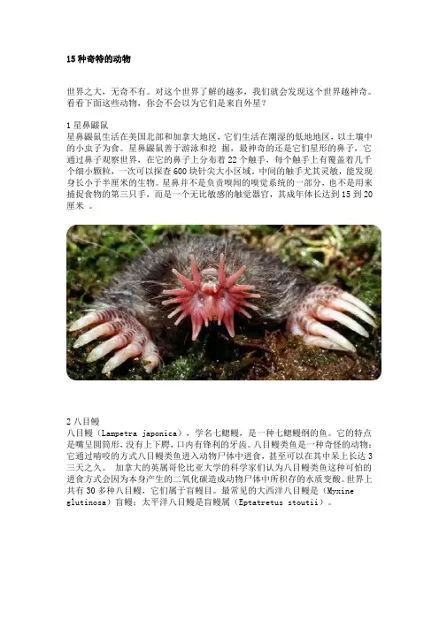 15种奇特的动物概要.