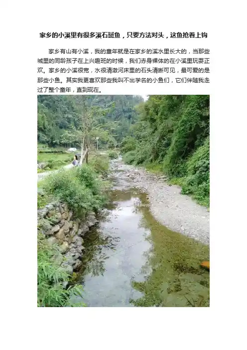家乡的小溪里有很多溪石斑鱼，只要方法对头，这鱼抢着上钩