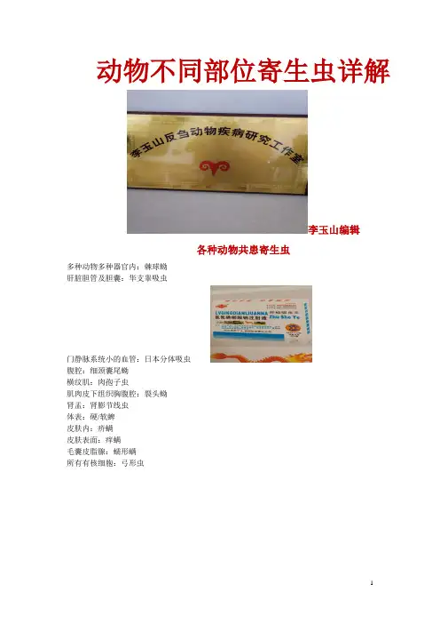 动物不同部位寄生虫