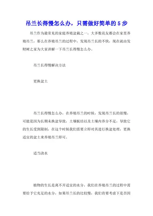 吊兰长得慢怎么办,只需做好简单的5步