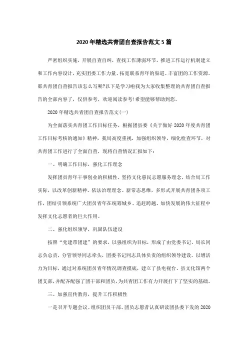 2020年精选共青团自查报告范文5篇
