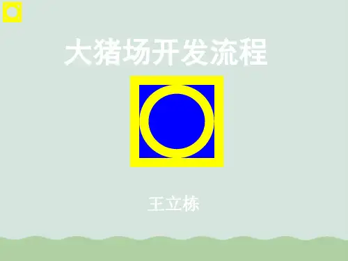 大猪场开发流程讲义(PPT 68页)