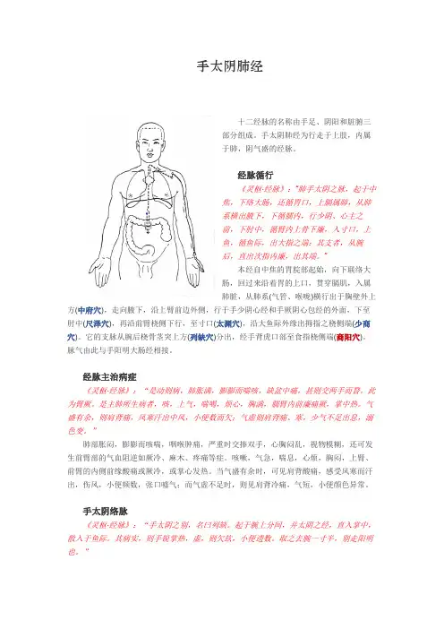 手太阴肺经