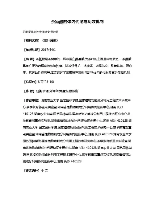 茶氨酸的体内代谢与功效机制