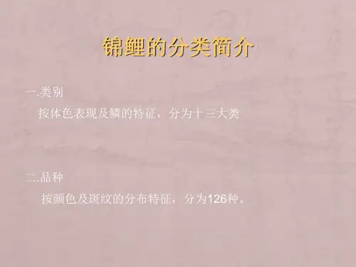 锦鲤养殖技术讲座(锦鲤的分类)