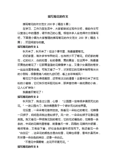 描写菊花的作文范文200字（精选5篇）