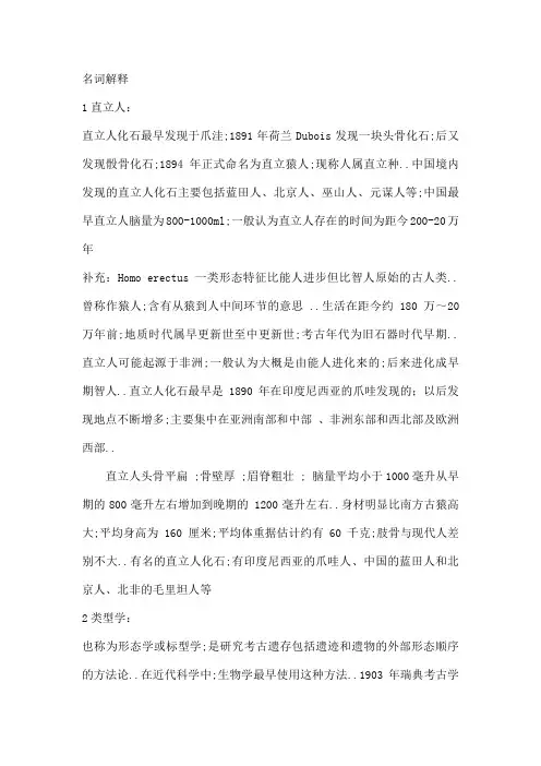 考古学考研复习名词解释