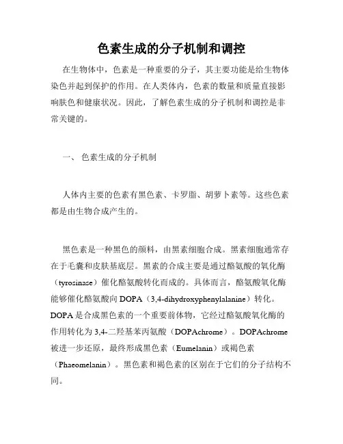 色素生成的分子机制和调控