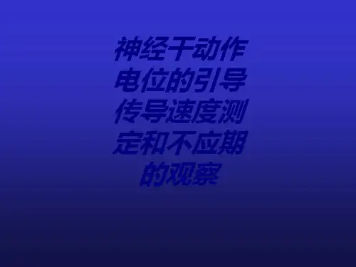 神经干动作电位的引导传导速度测定和不应期的观察讲义