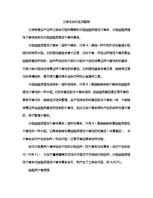 三亲本杂交名词解释
