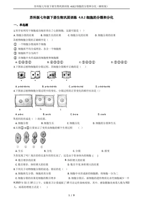 苏科版七年级下册生物巩固训练 4.8.2细胞的分裂和分化(解析版)
