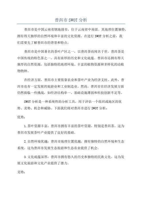 普洱市SWOT分析