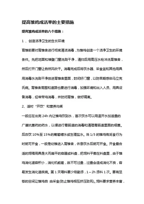 提高雏鸡成活率的主要措施