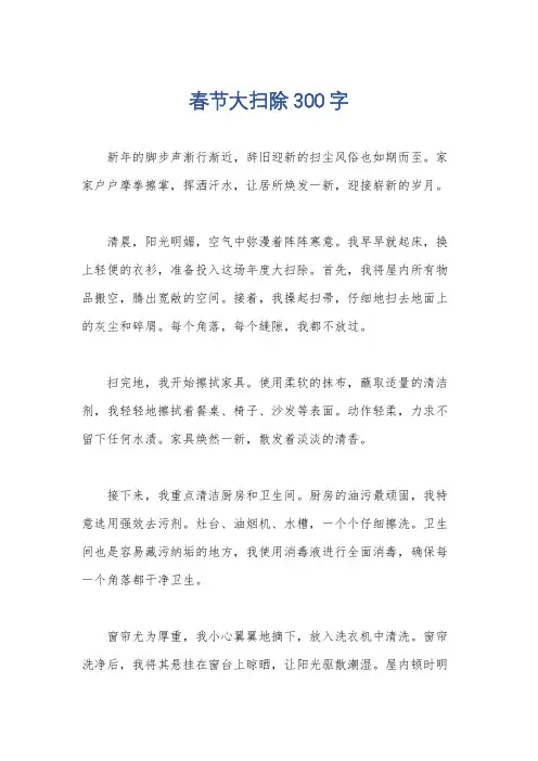春节大扫除300字