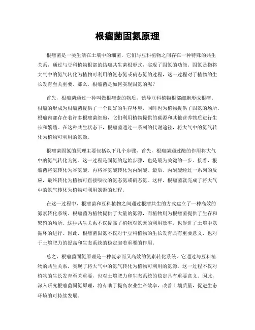 根瘤菌固氮原理