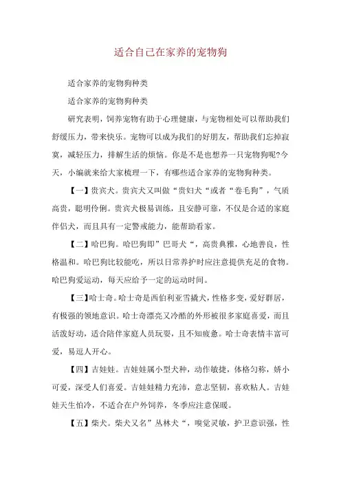 适合自己在家养的宠物狗