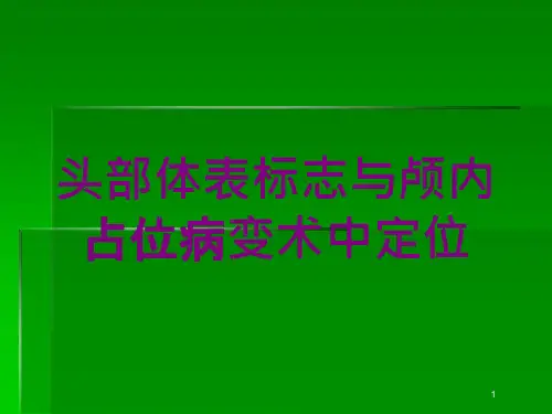 头部体表标志与颅内占位病变术中定位培训ppt课件