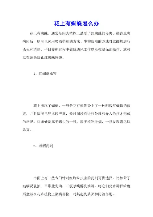 花上有蜘蛛网怎么办