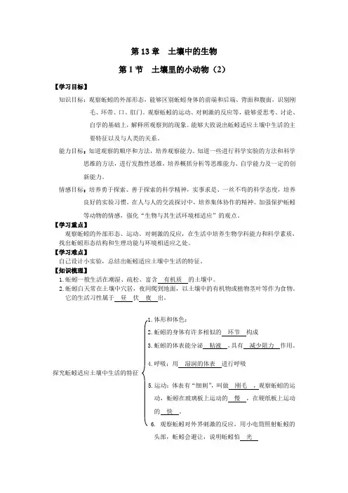 土壤里的小动物答案