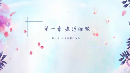 高中生物人教版必修一第一章 走近细胞单元复习课件(17张ppt)