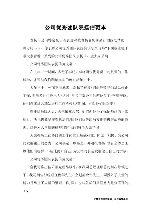 公司优秀团队表扬信范本_应用文