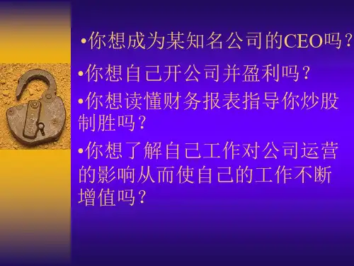 资产负债表的使用.ppt