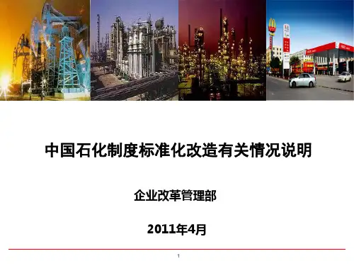 中国石化标准化制度体系建设与规划(精华)