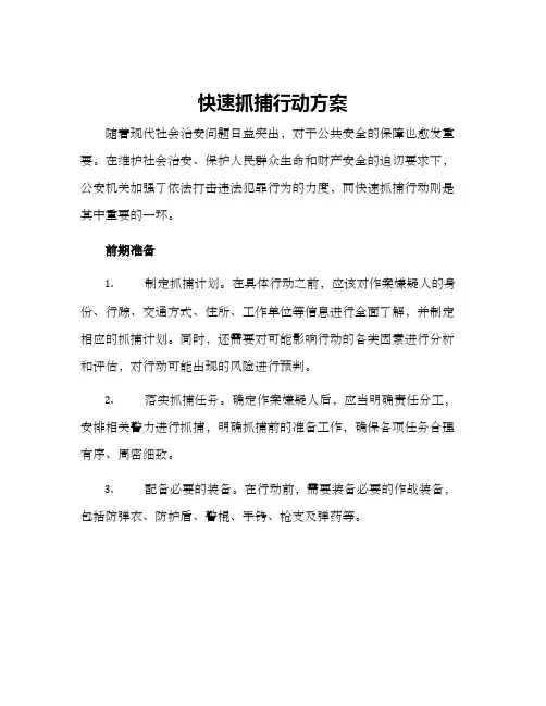 快速抓捕行动方案