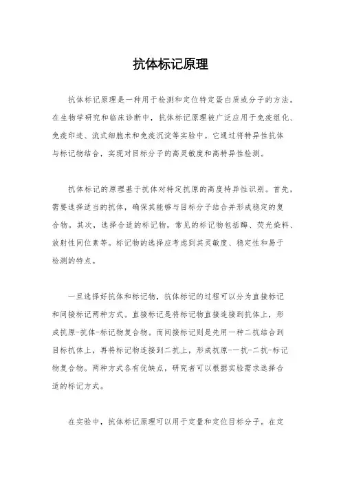 抗体标记原理