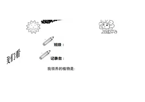 小学植物生长观察记录表2447
