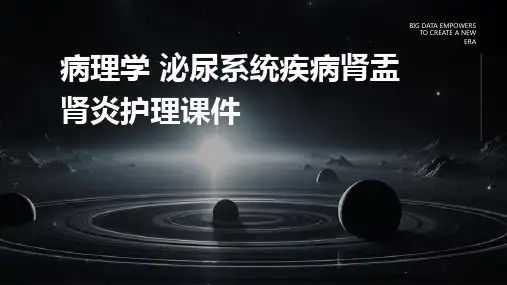 病理学 泌尿系统疾病肾盂肾炎护理课件