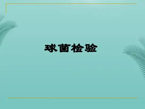 【全版】球菌检验推荐PPT