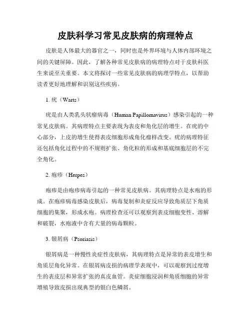 皮肤科学习常见皮肤病的病理特点