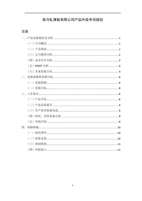 钢铁公司产品升级规划-范文及管理思路