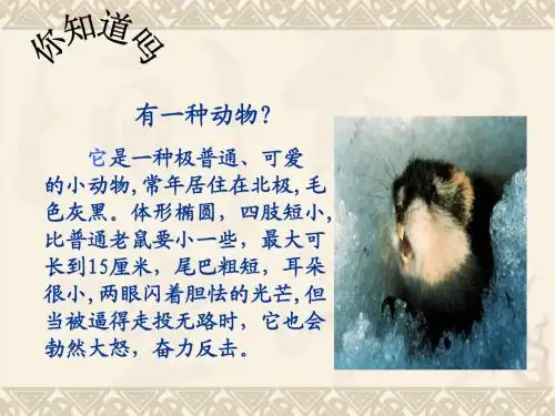 第13课《旅鼠之谜》ppt课件