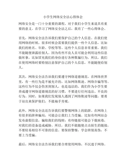 小学生网络安全法心得体会
