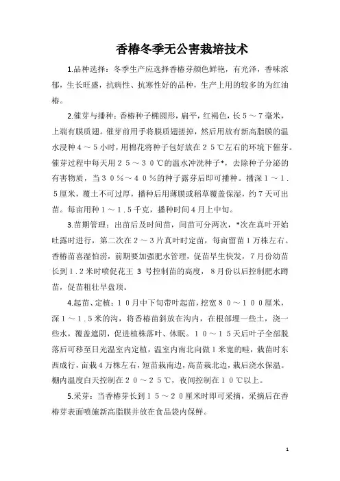香椿冬季无公害栽培技术