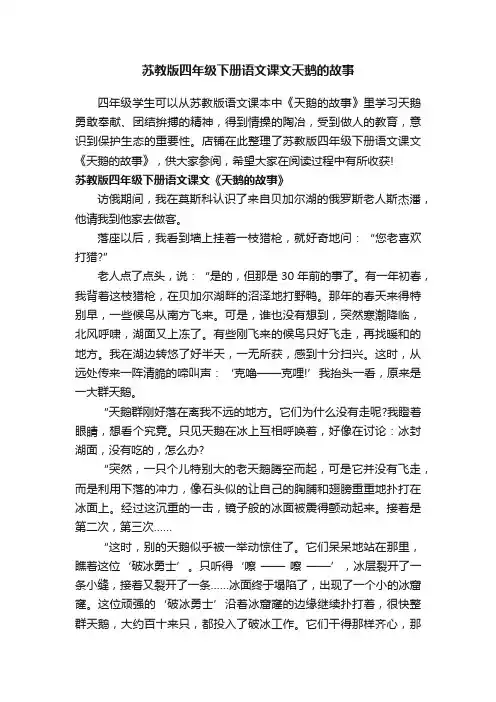 苏教版四年级下册语文课文天鹅的故事
