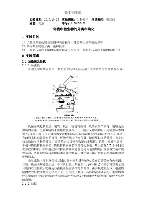 微生物的观察及革兰氏染色