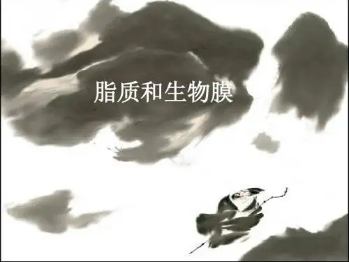 脂质和生物膜
