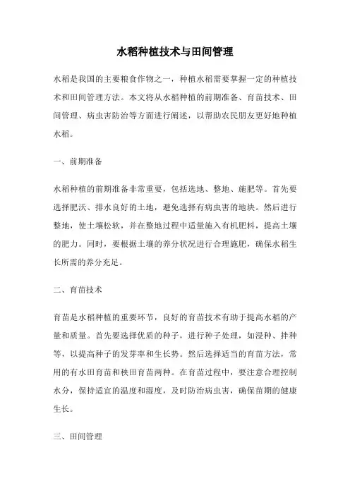 水稻种植技术与田间管理