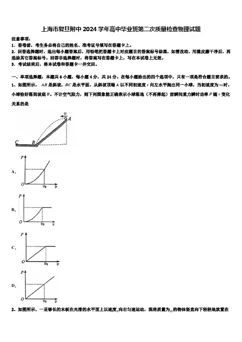 上海市复旦附中2024学年高中毕业班第二次质量检查物理试题