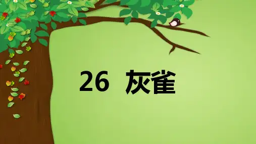 部编人教版三年级语文上册第26课《灰雀》优秀PPT课件