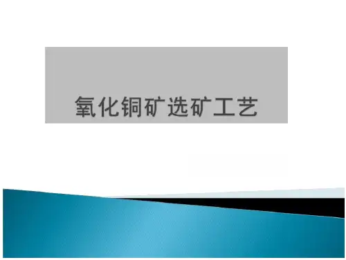 氧化铜选矿工艺(14页)