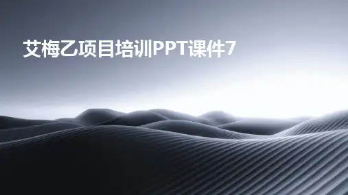 2024版艾梅乙项目培训PPT课件7